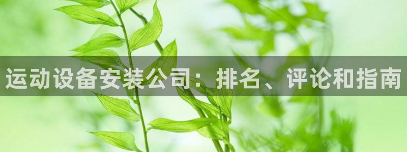 星欧娱乐公司电话号码查询：运动设备安装公司：排名、评