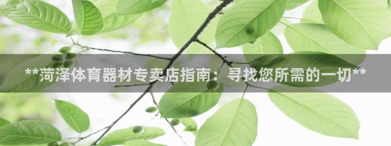 星欧娱乐游戏中心官网登录：**菏泽体育器材专卖店指南